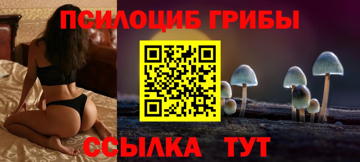 Миллерово  Галлюциногенные грибы прущие грибы  Вход с VPN  Псилоцибиновые грибы мухоморы 
